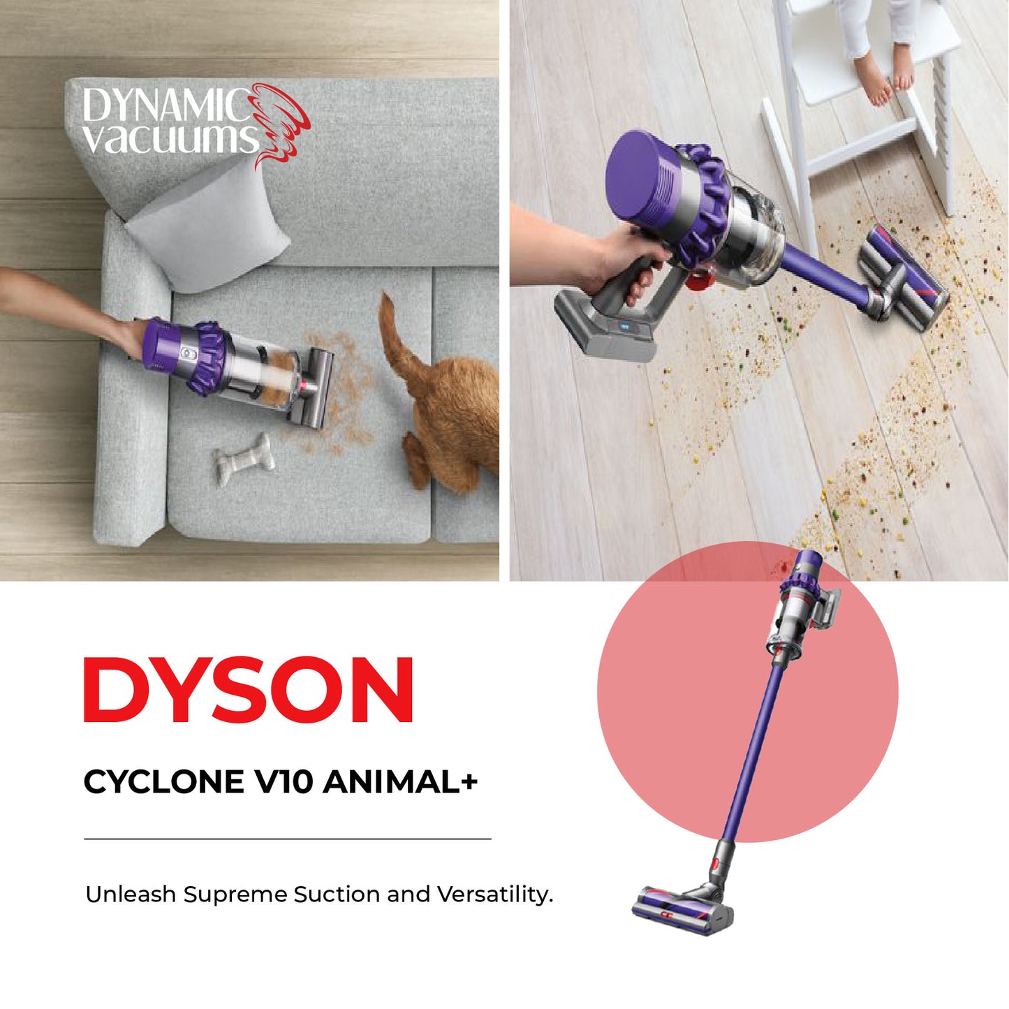 Dyson V10 Vacuuming pet hair on couch and dirt and debris from under highchair
