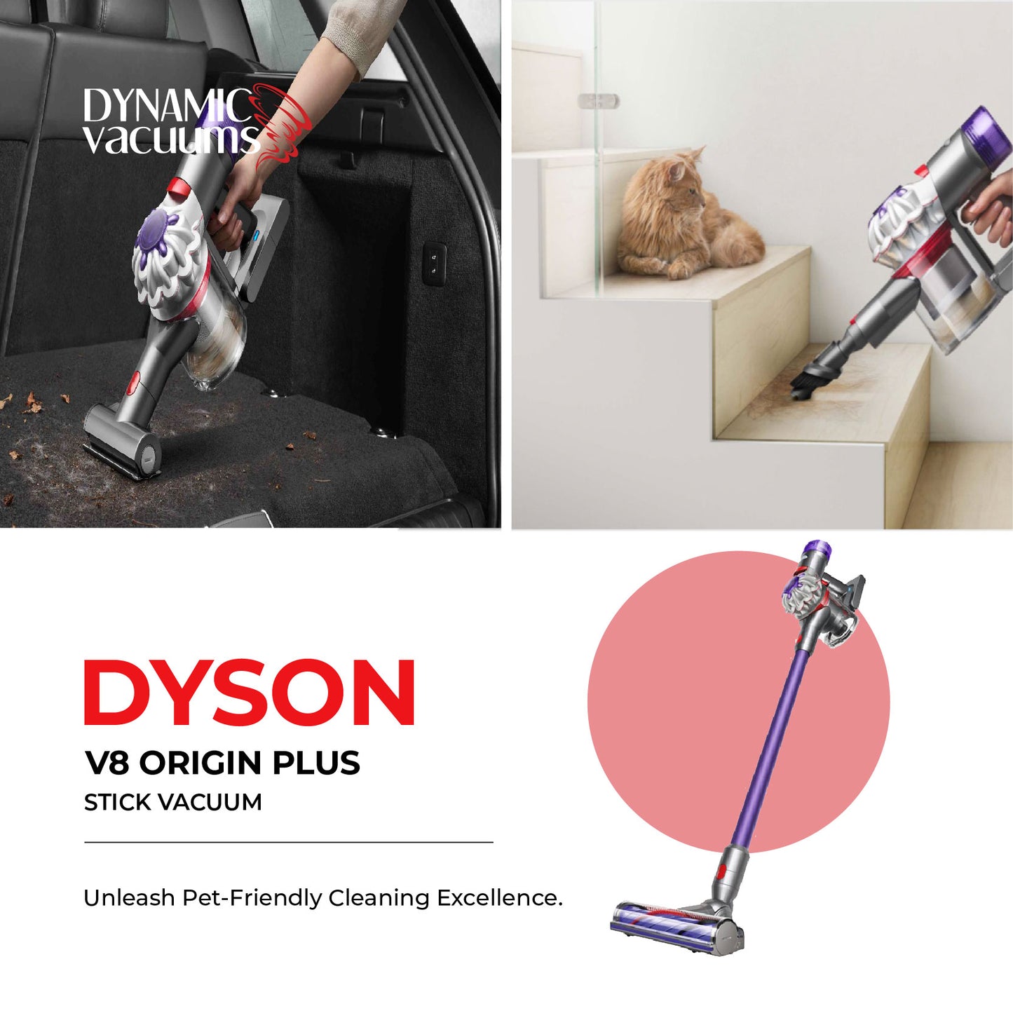 Dyson V8 Origin Plus Stick Vacuum vacuuming dirt and pet hair off trunk of car and on staircase