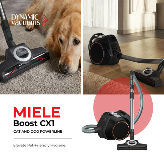 Miele Boost CX1 Cat and Dog Powerline Miele
