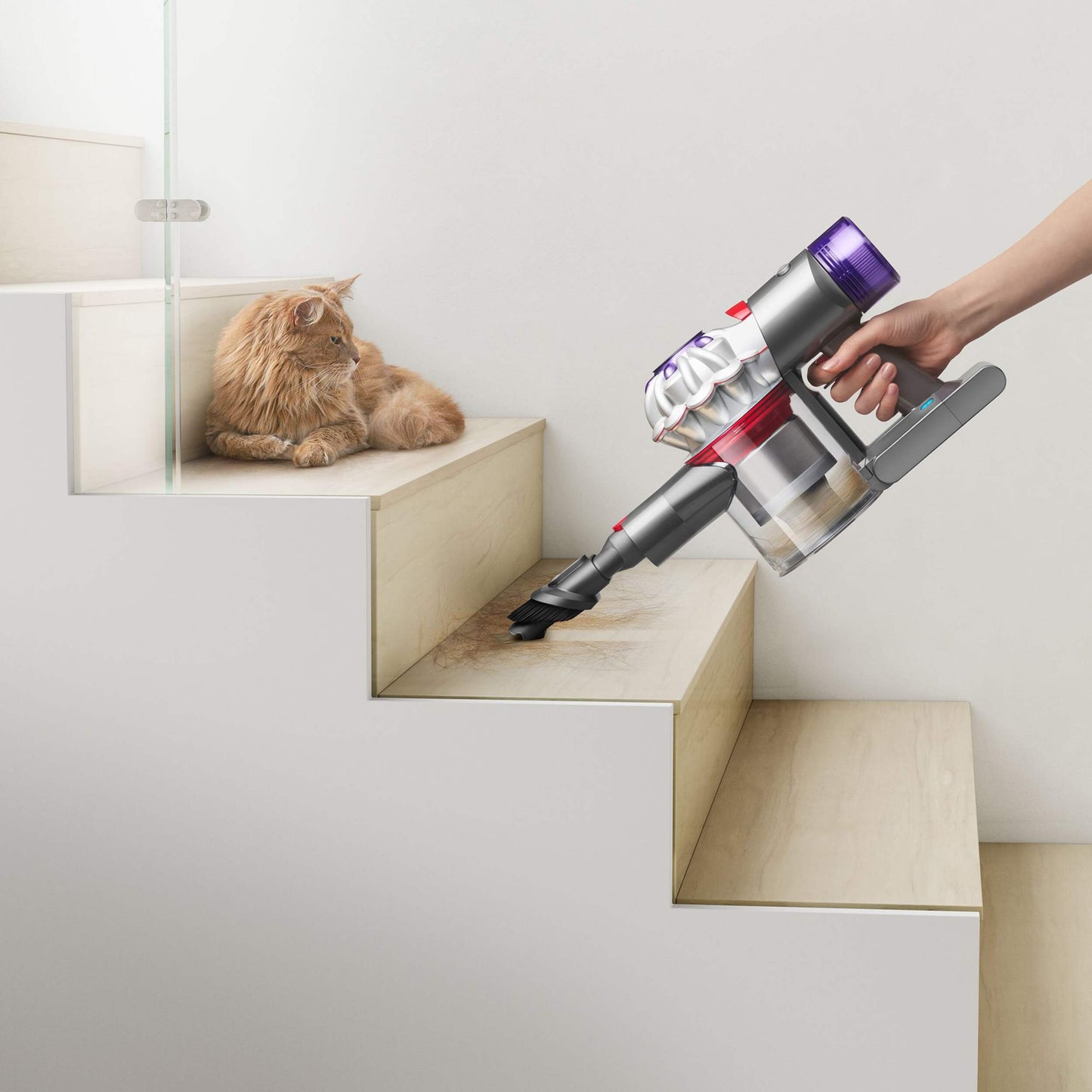 Dyson V7 Advanced vacuuming dirt off staircase with combination tool. Cat sitting on staircase