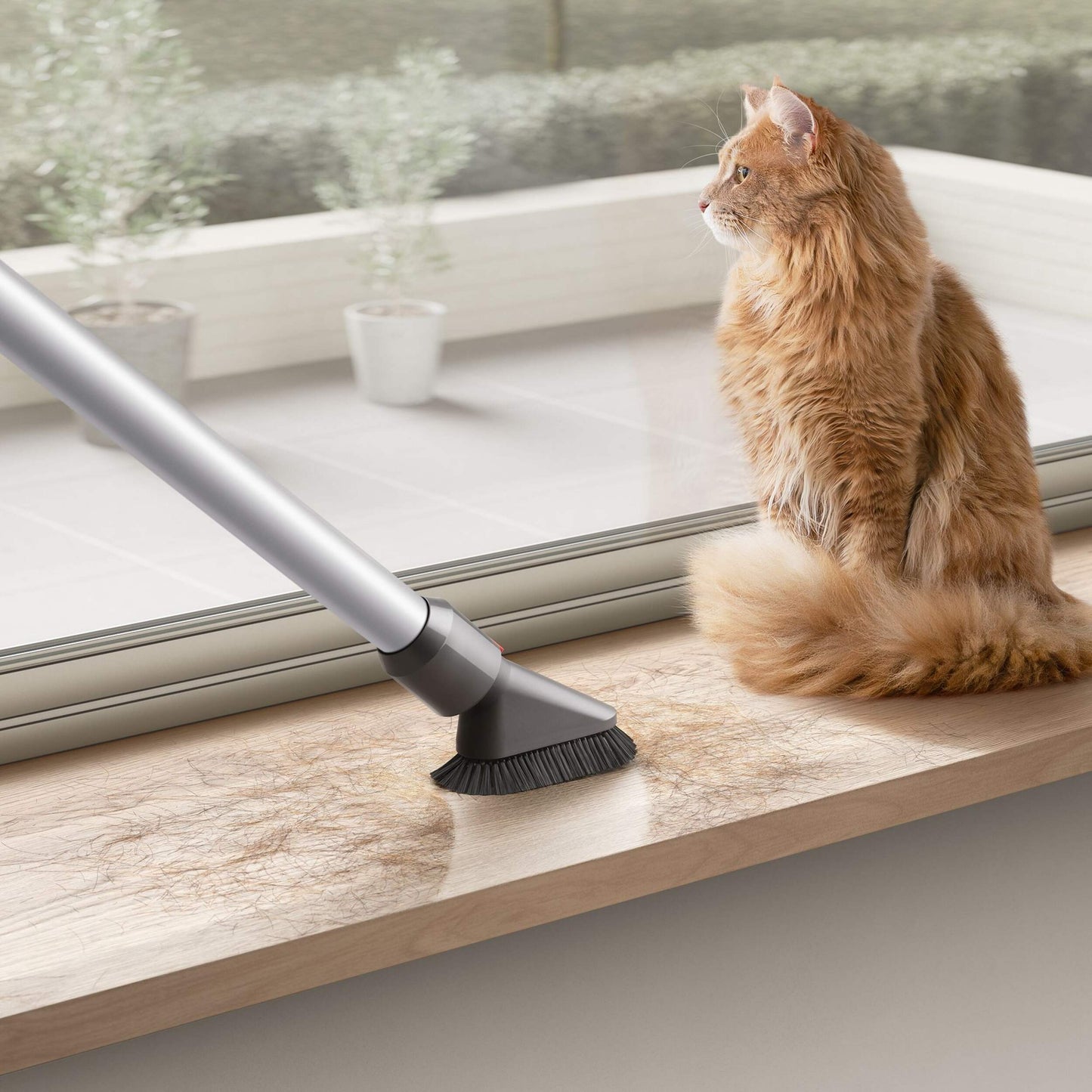 vacuuming cat hair off with Dyson V7 Advanced Cordless Stick vacuum off windowsill with cat sitting on windowsill staring out window