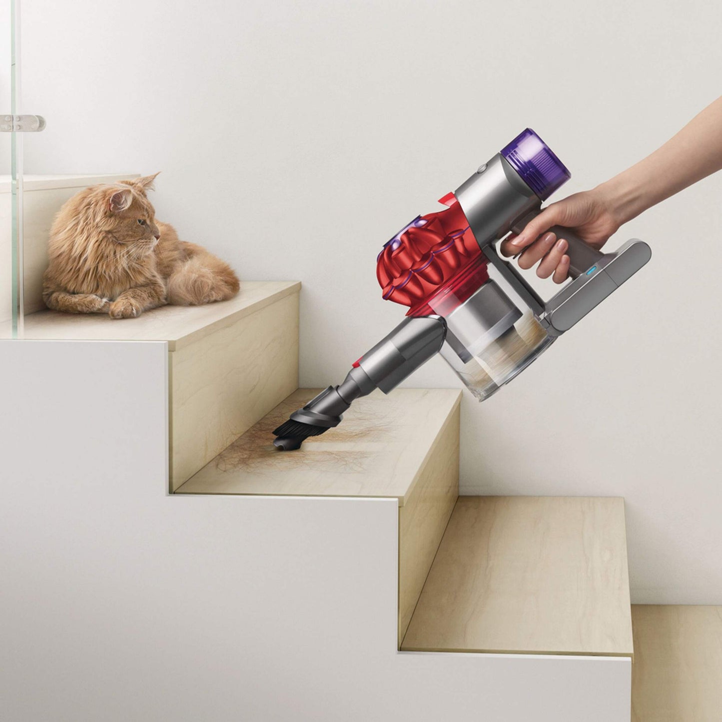 Lifestyle person vacuuming staircase with Dyson V8 Origin cordless stick vacuum with combination tool. Cat sitting on staircase