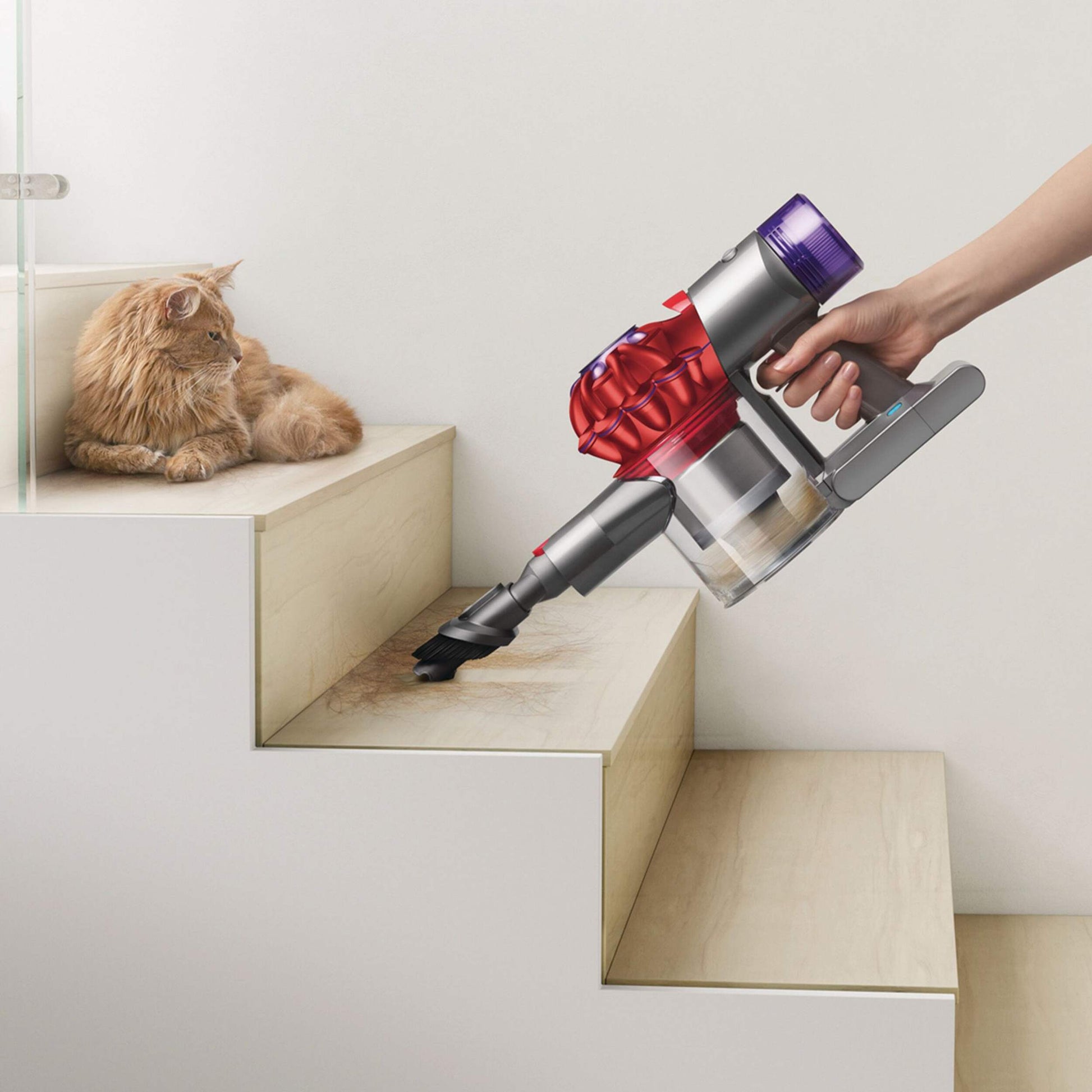Lifestyle person vacuuming staircase with Dyson V8 Origin cordless stick vacuum with combination tool. Cat sitting on staircase