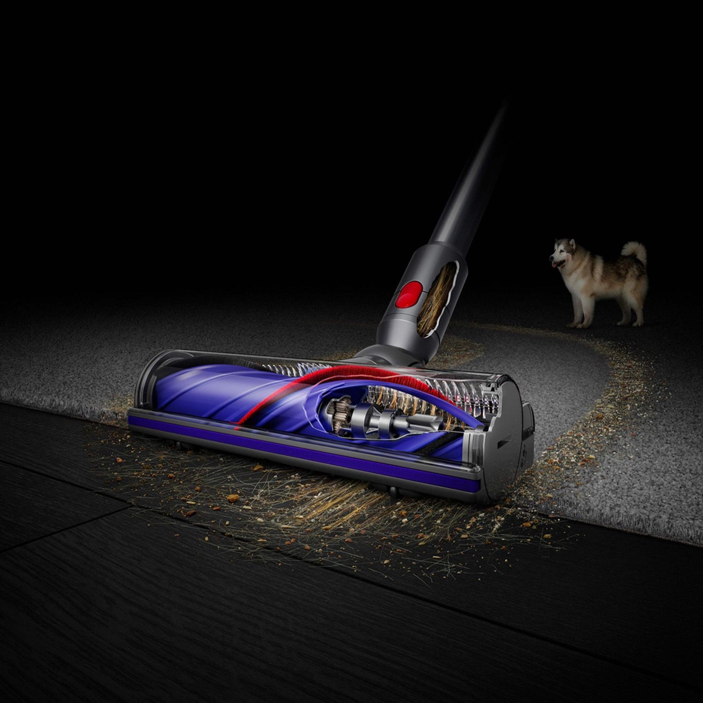 Dyson V8 Origin vacuuming dirt, pet hair and debris off hard floor and carpet.