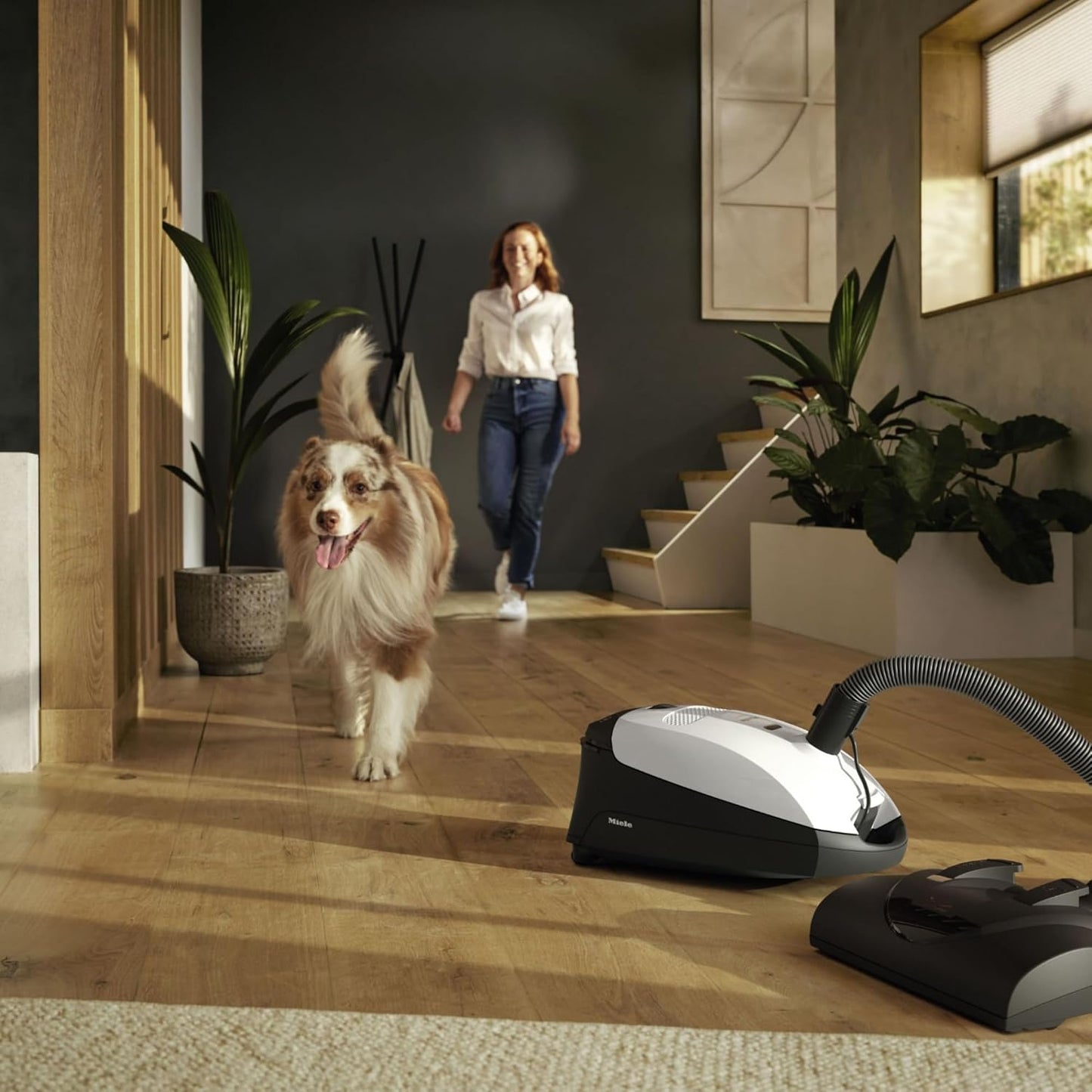 Miele Classic C1 Cat & Dog PowerLine Canister Vacuum - Lotus white