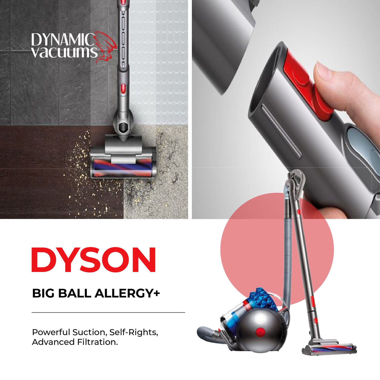 Dyson Big Ball Allergy+