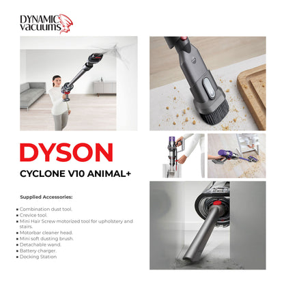 Dyson Cyclone V10 Animal+ lifestyle vacuuming house using combination tool, cleaner head and crevice tool. Girl emptying dirt bin into garbage. English text describing supplied accessories.