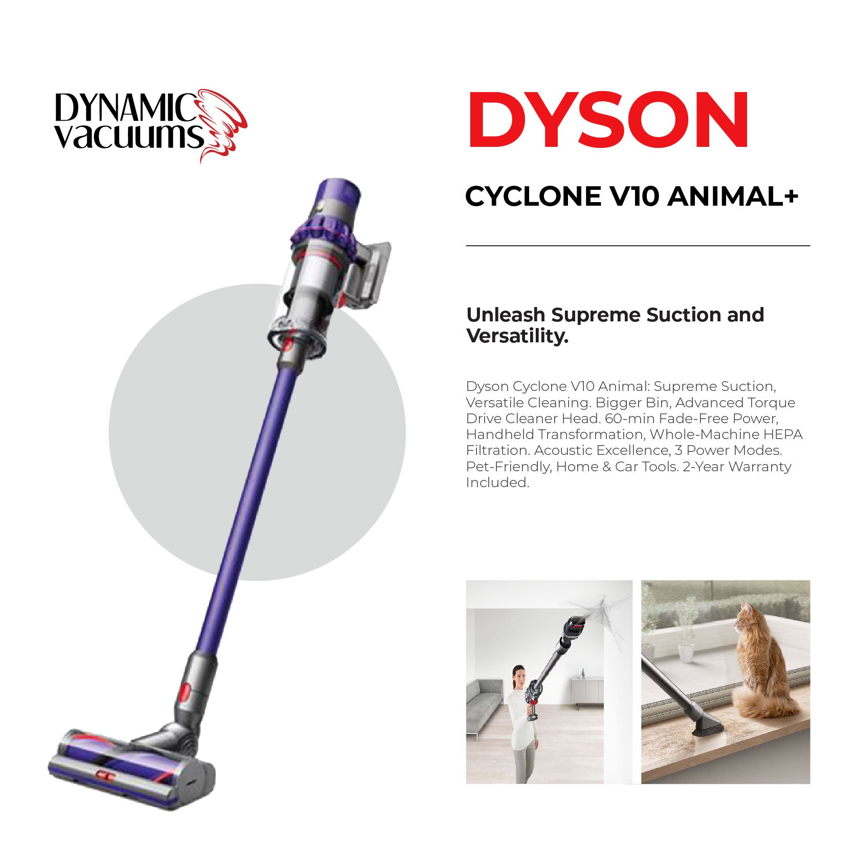 Dyson Cyclone V10 Animal+ lifestlye girl using combination tool and dusting brush to removes dust and hair