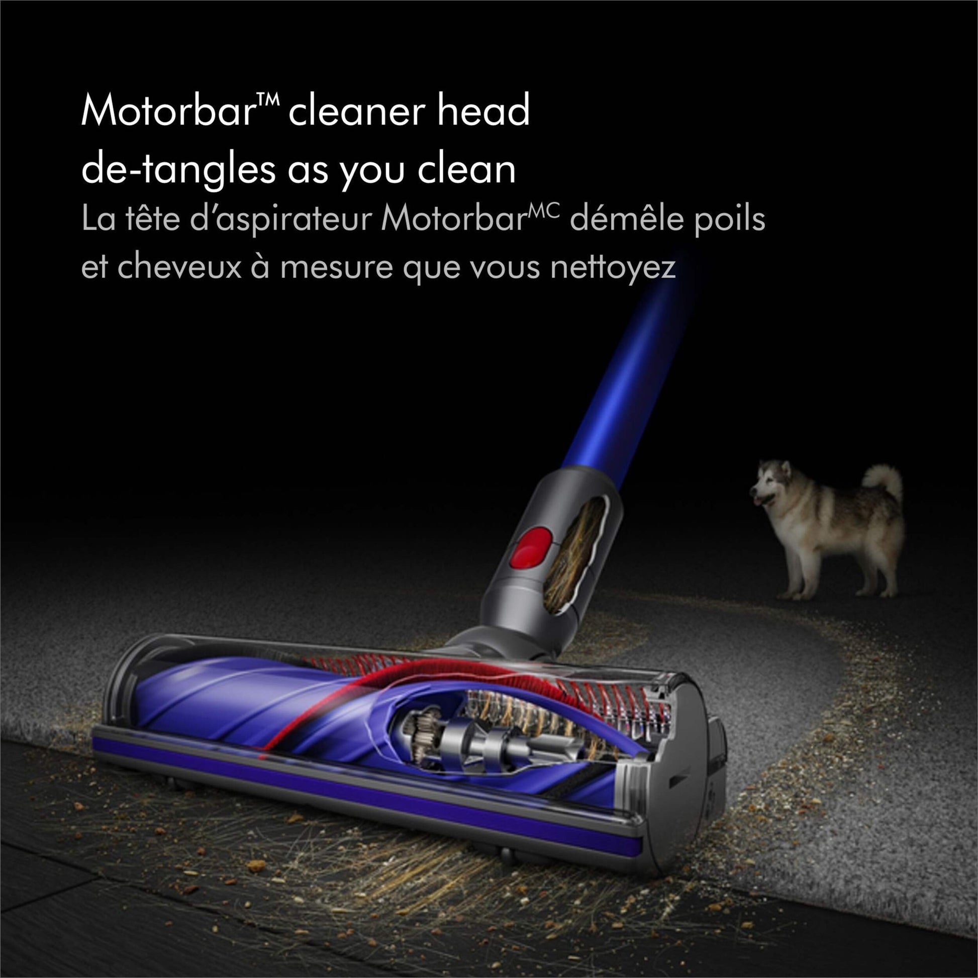 Dyson V11 Cordless Stick vacuum motorbar