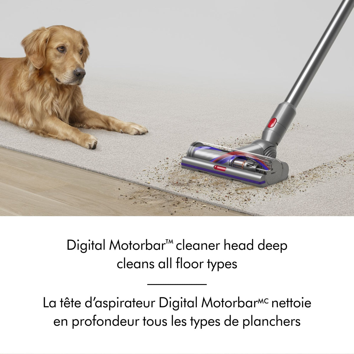 Dyson V15 Detect Cordless Stick Vacuum